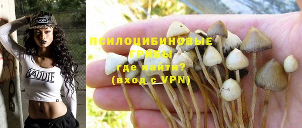 метадон Армянск