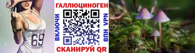 Галлюциногенные грибы Magic Shrooms  Купить закладки  Ардатов 